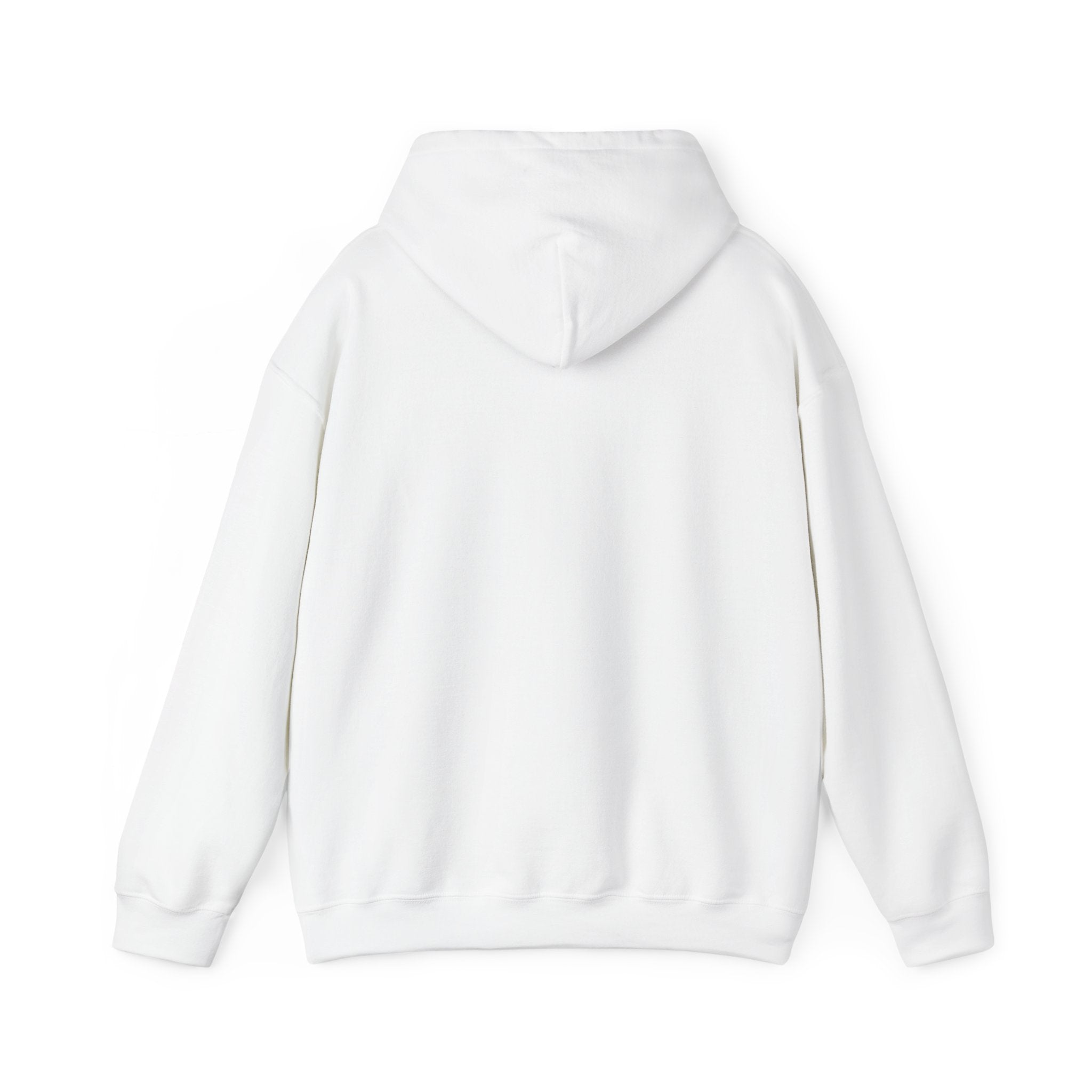 "Say Hello to My Little Friend" Gym Hoodie