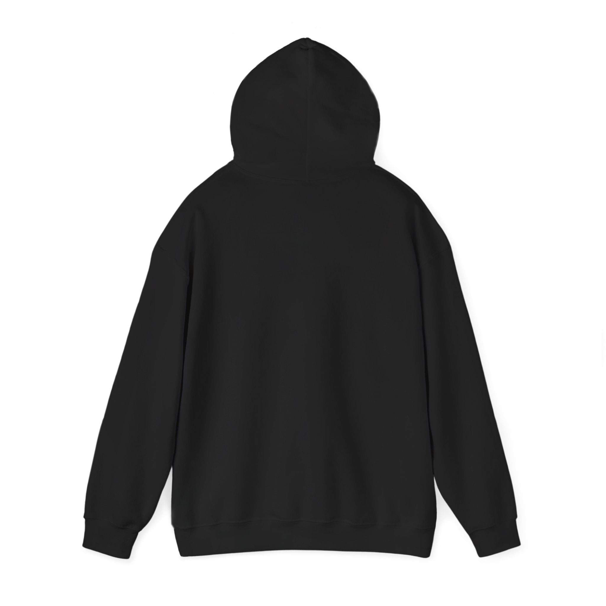"Say Hello to My Little Friend" Gym Hoodie