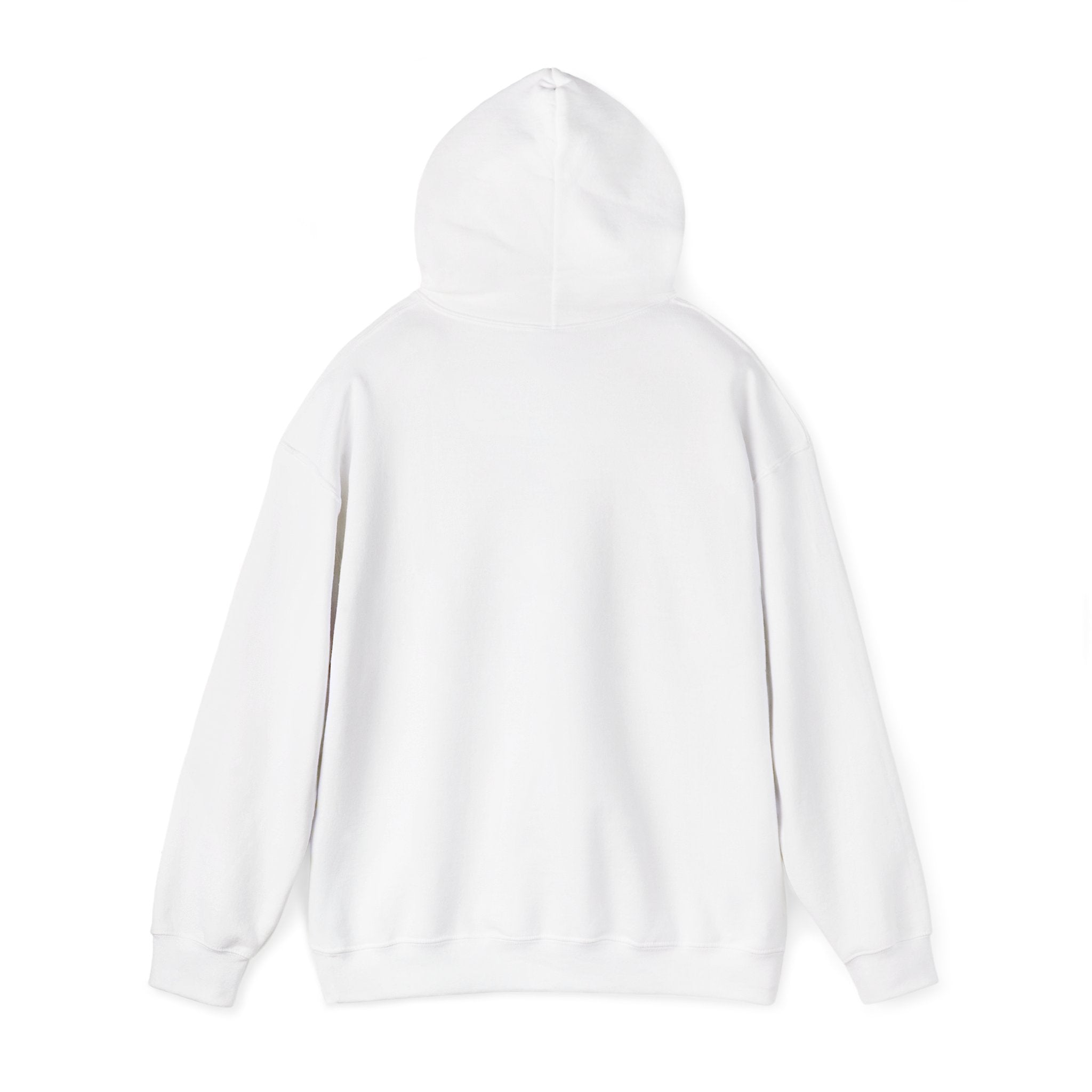 "Say Hello to My Little Friend" Gym Hoodie