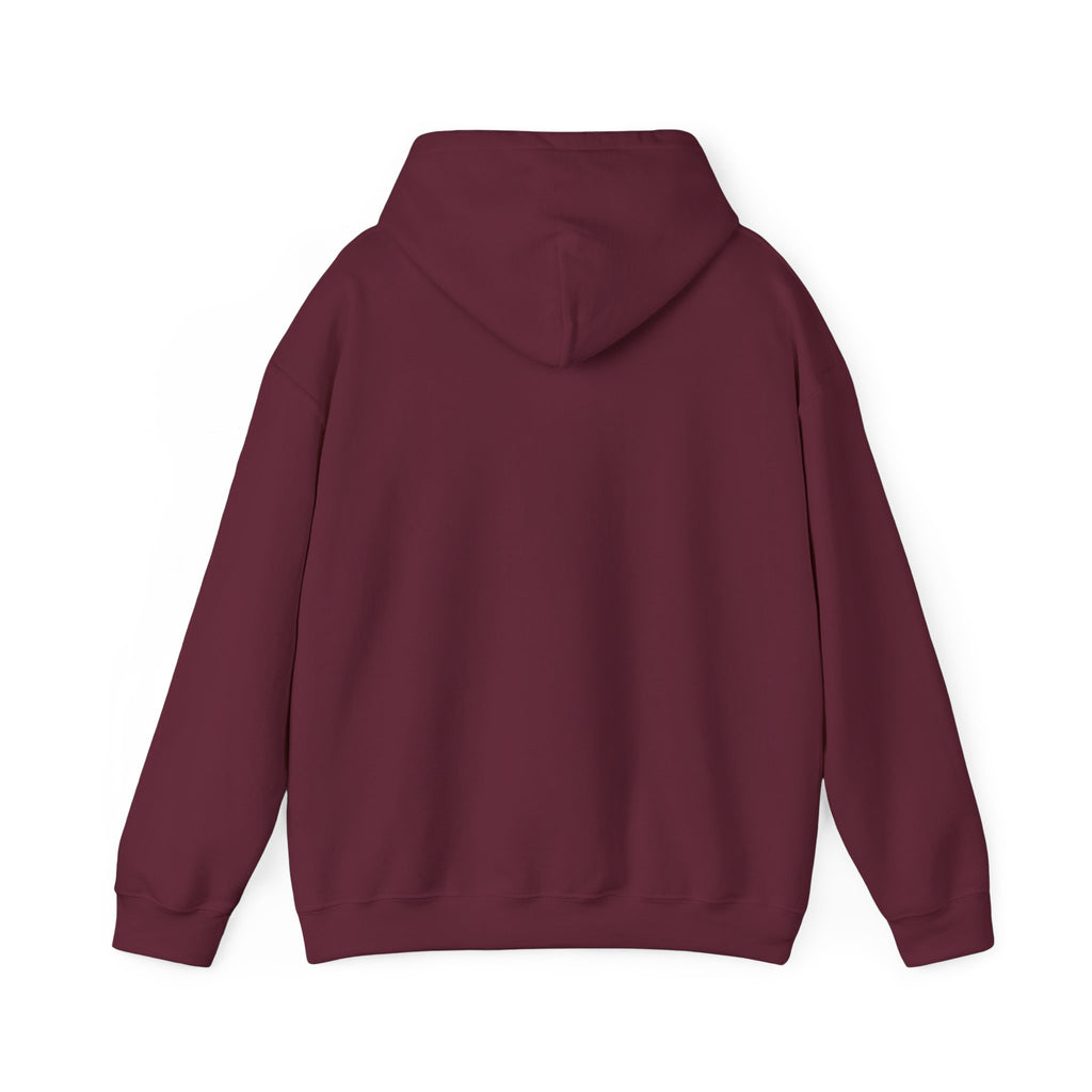 "Say Hello to My Little Friend" Gym Hoodie