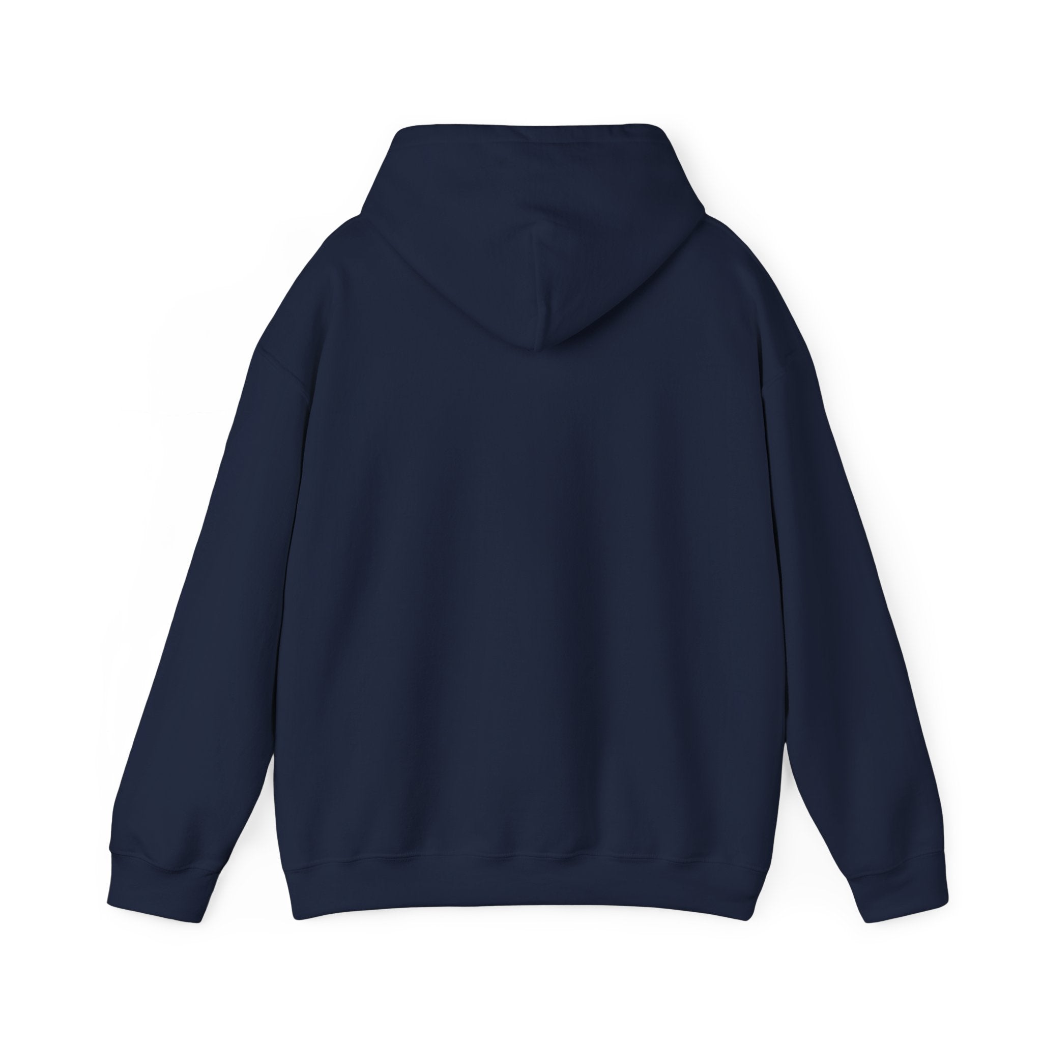 "Say Hello to My Little Friend" Gym Hoodie