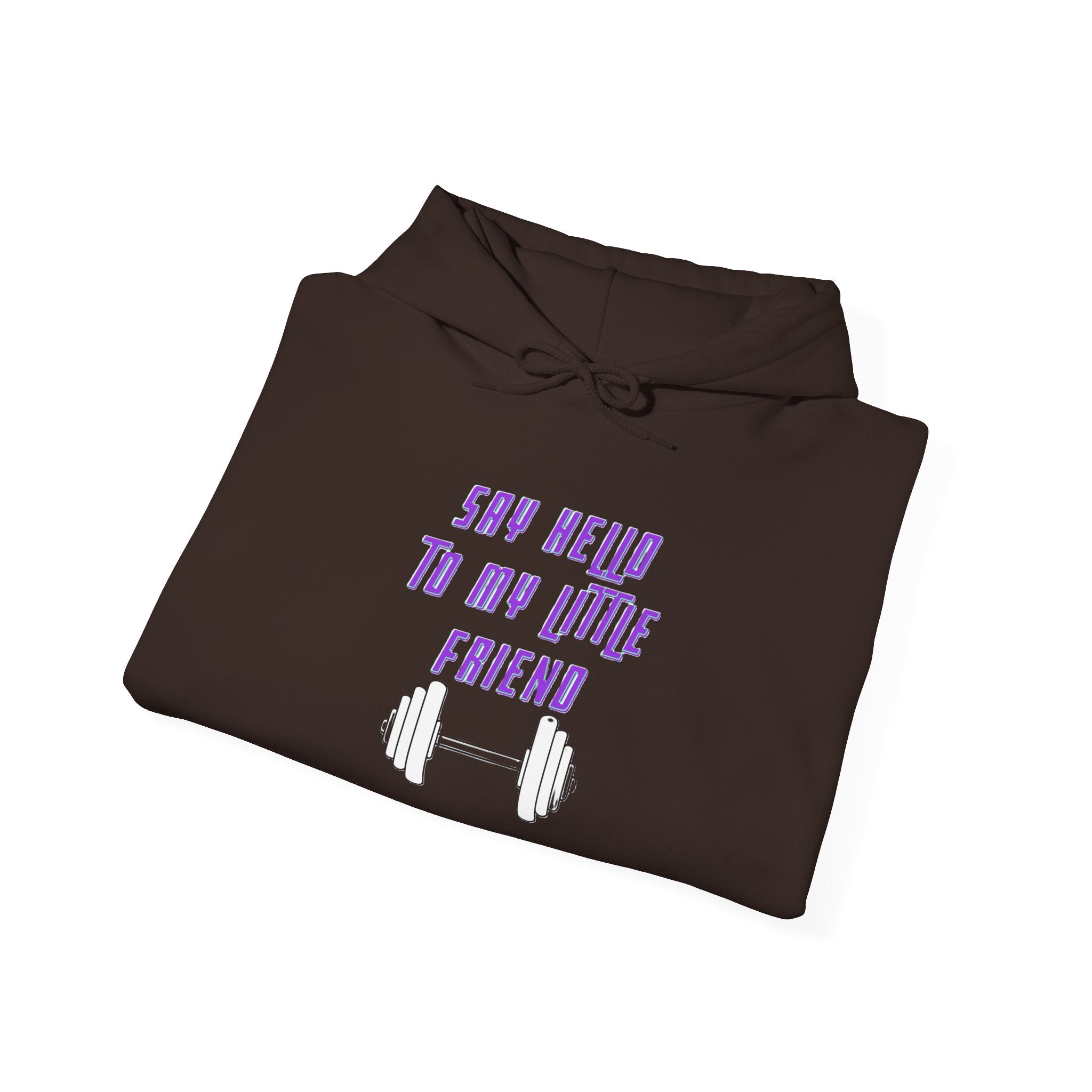 "Say Hello to My Little Friend" Gym Hoodie
