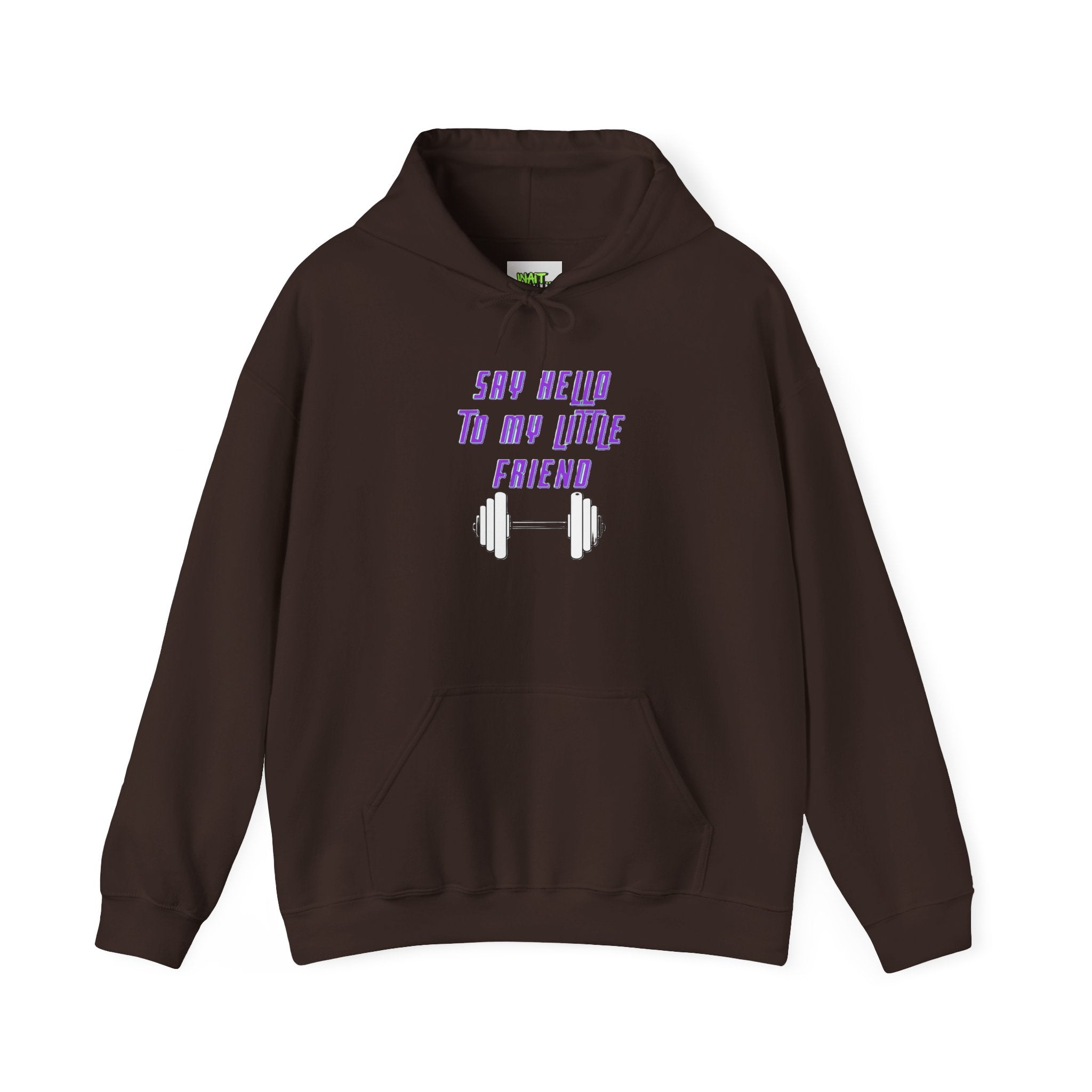 "Say Hello to My Little Friend" Gym Hoodie
