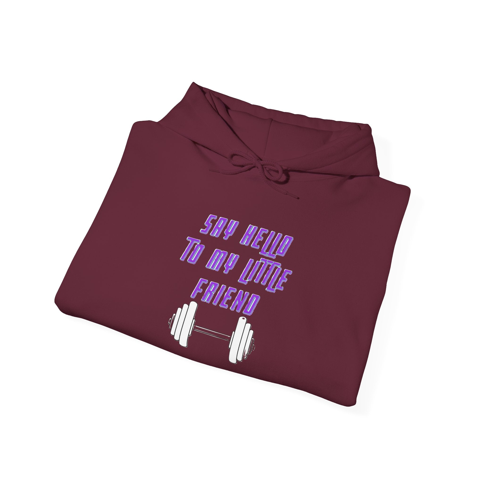"Say Hello to My Little Friend" Gym Hoodie
