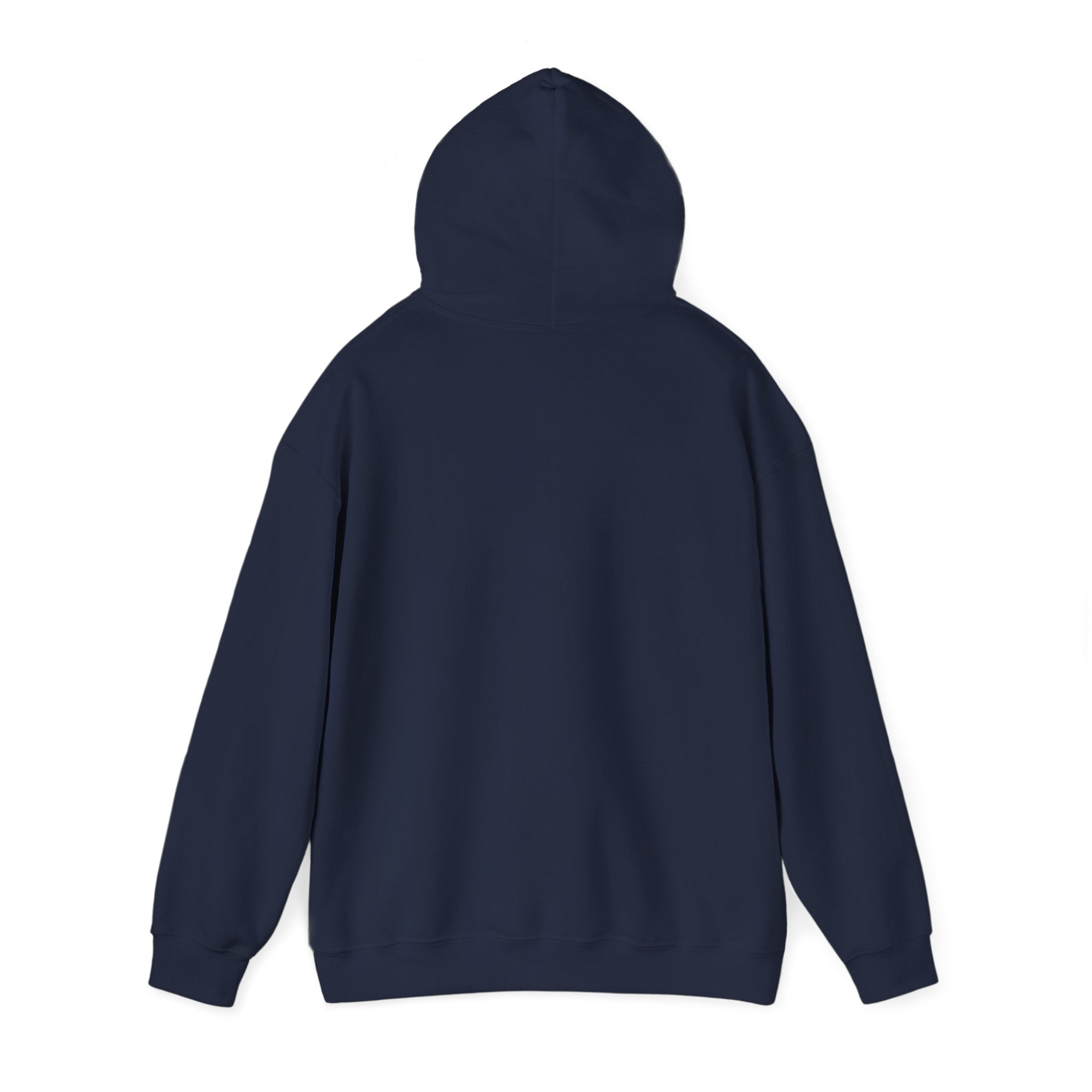 "Say Hello to My Little Friend" Gym Hoodie