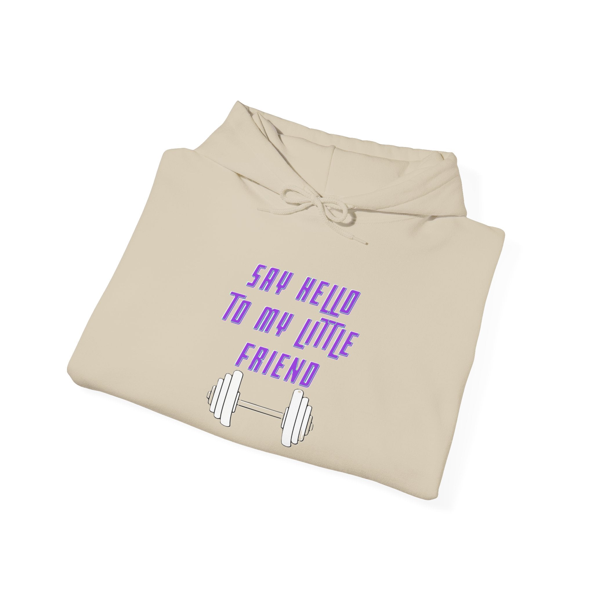 "Say Hello to My Little Friend" Gym Hoodie