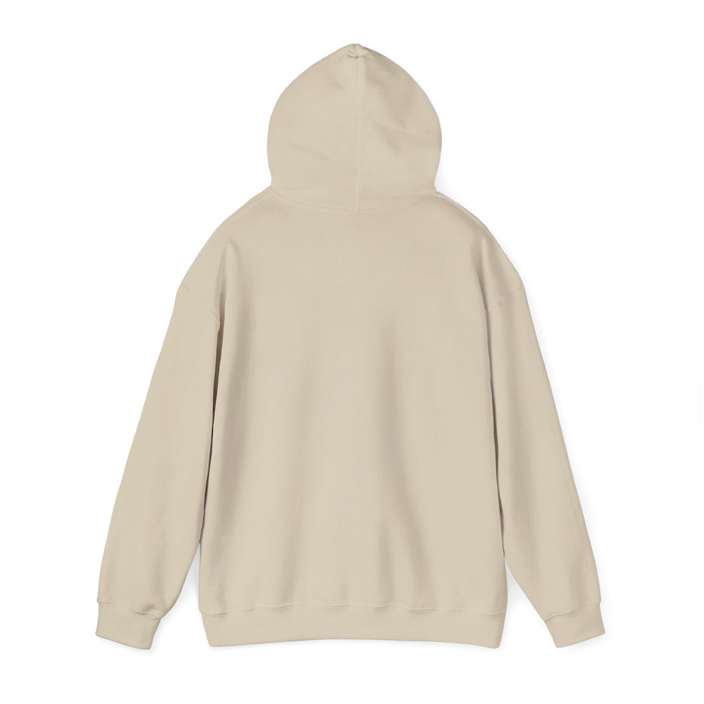 "Say Hello to My Little Friend" Gym Hoodie