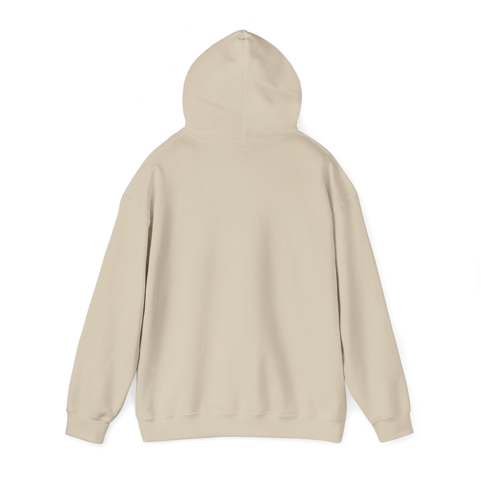 "Say Hello to My Little Friend" Gym Hoodie