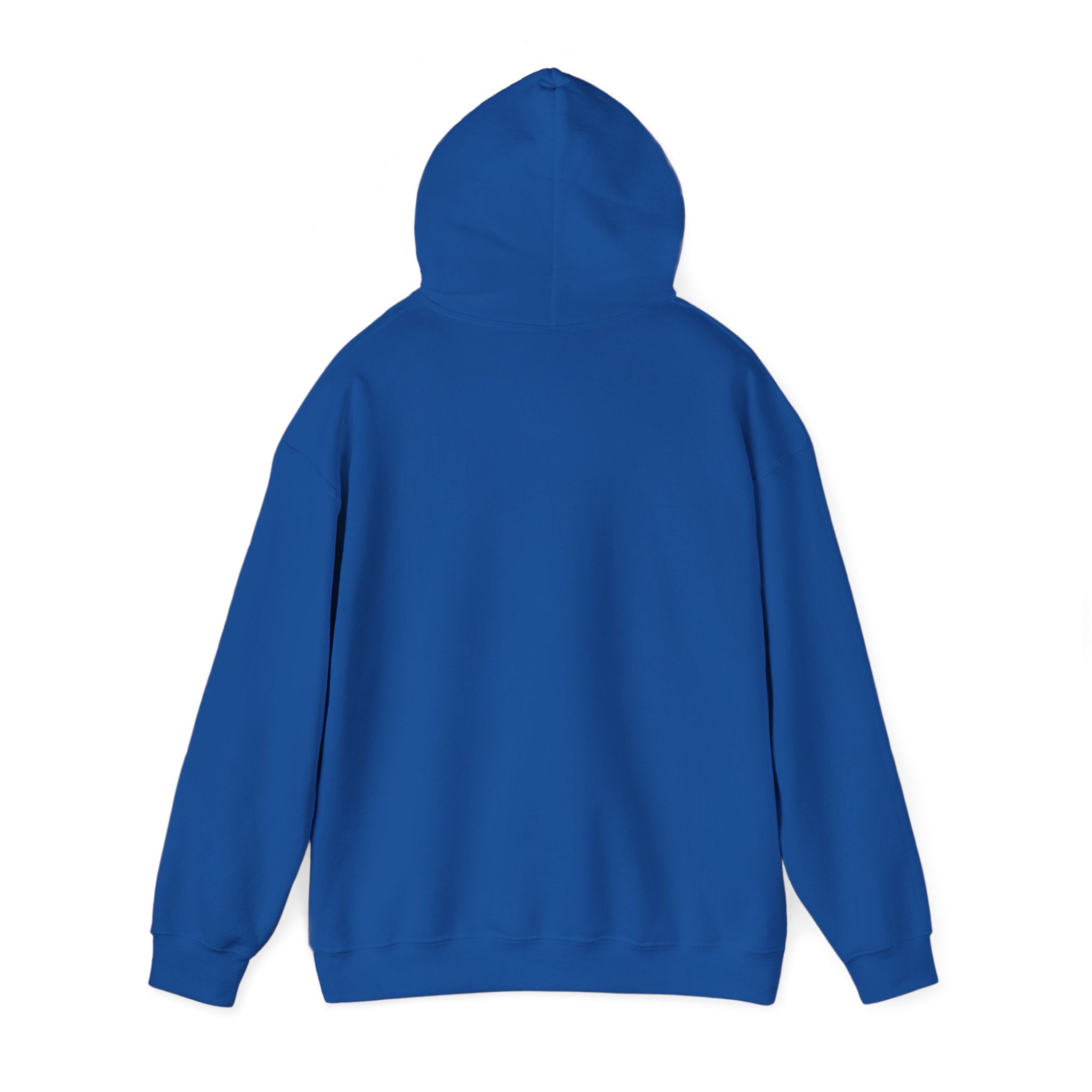 "Say Hello to My Little Friend" Gym Hoodie