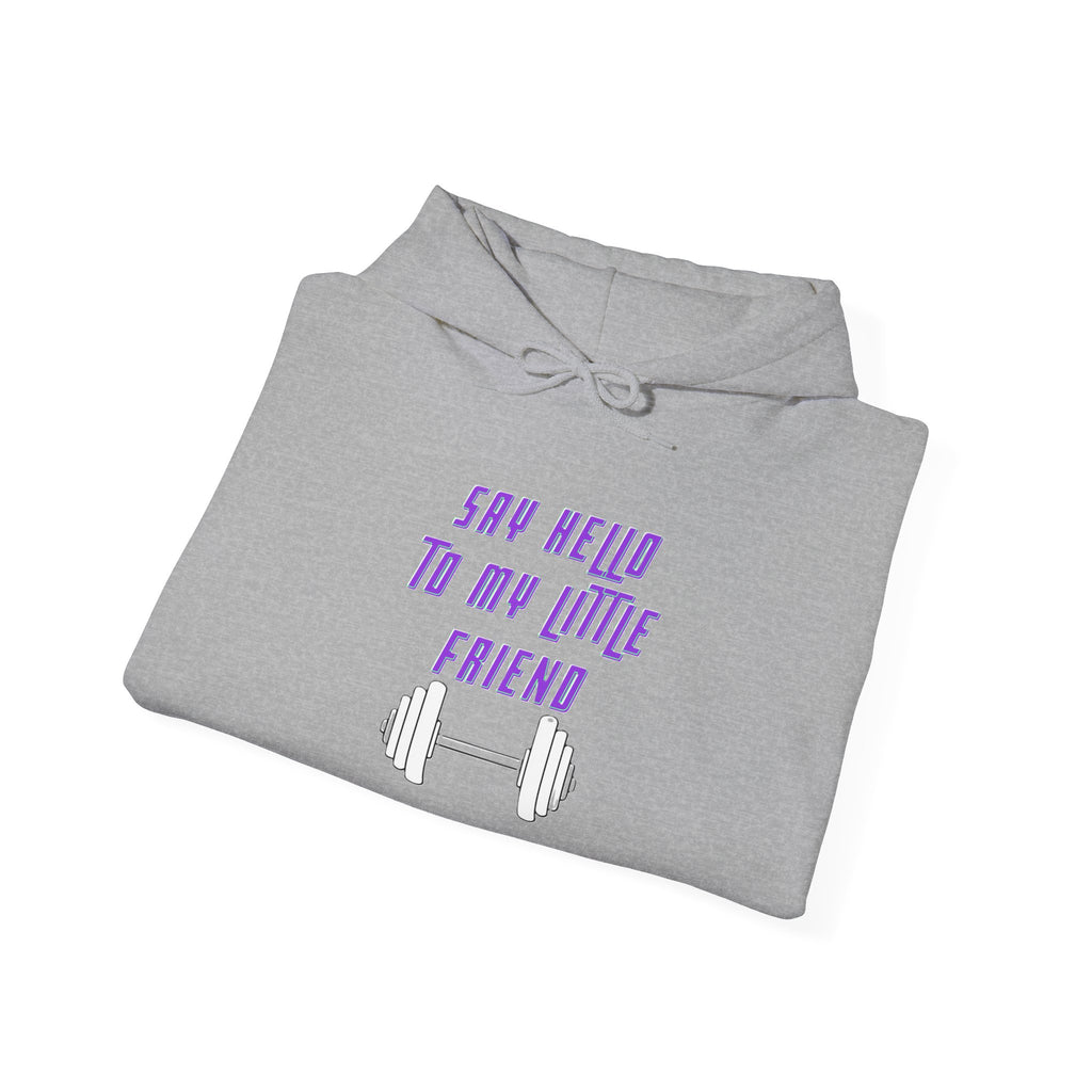 "Say Hello to My Little Friend" Gym Hoodie