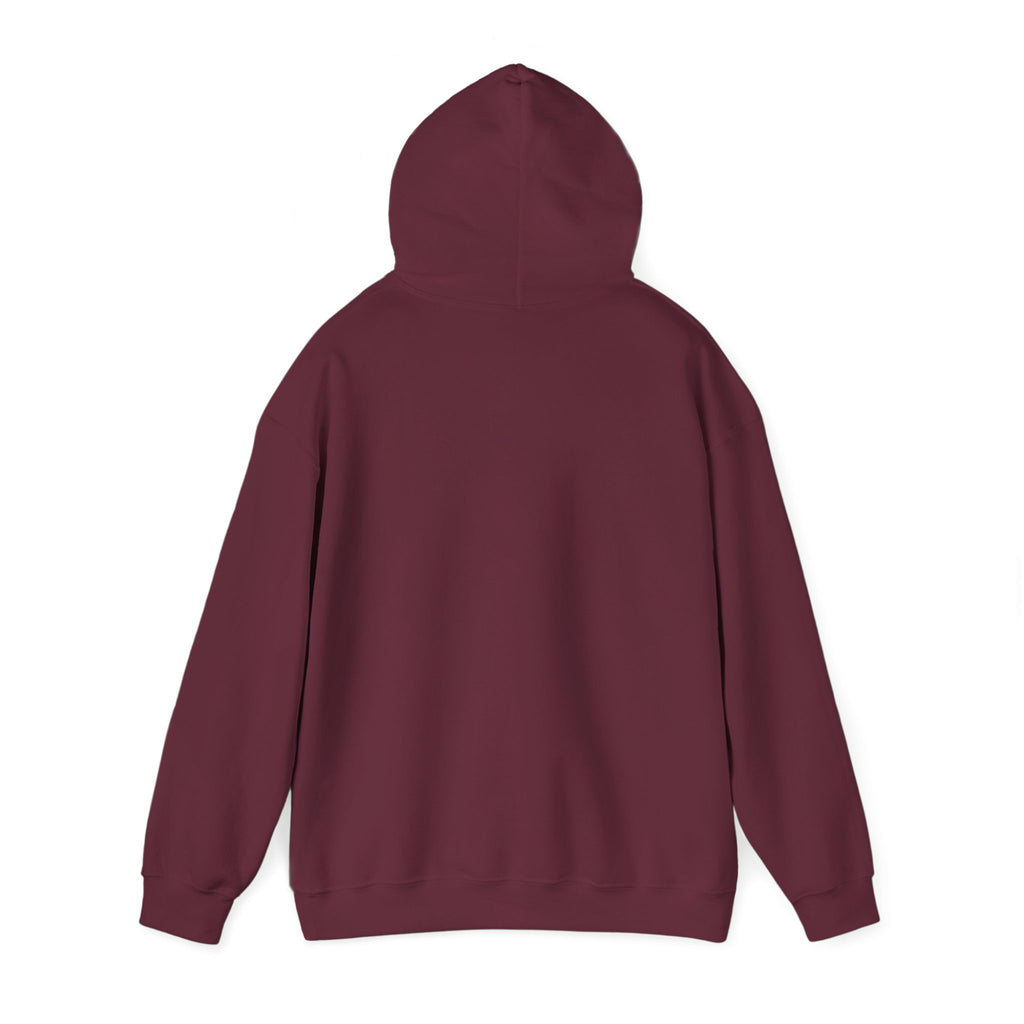 "Say Hello to My Little Friend" Gym Hoodie