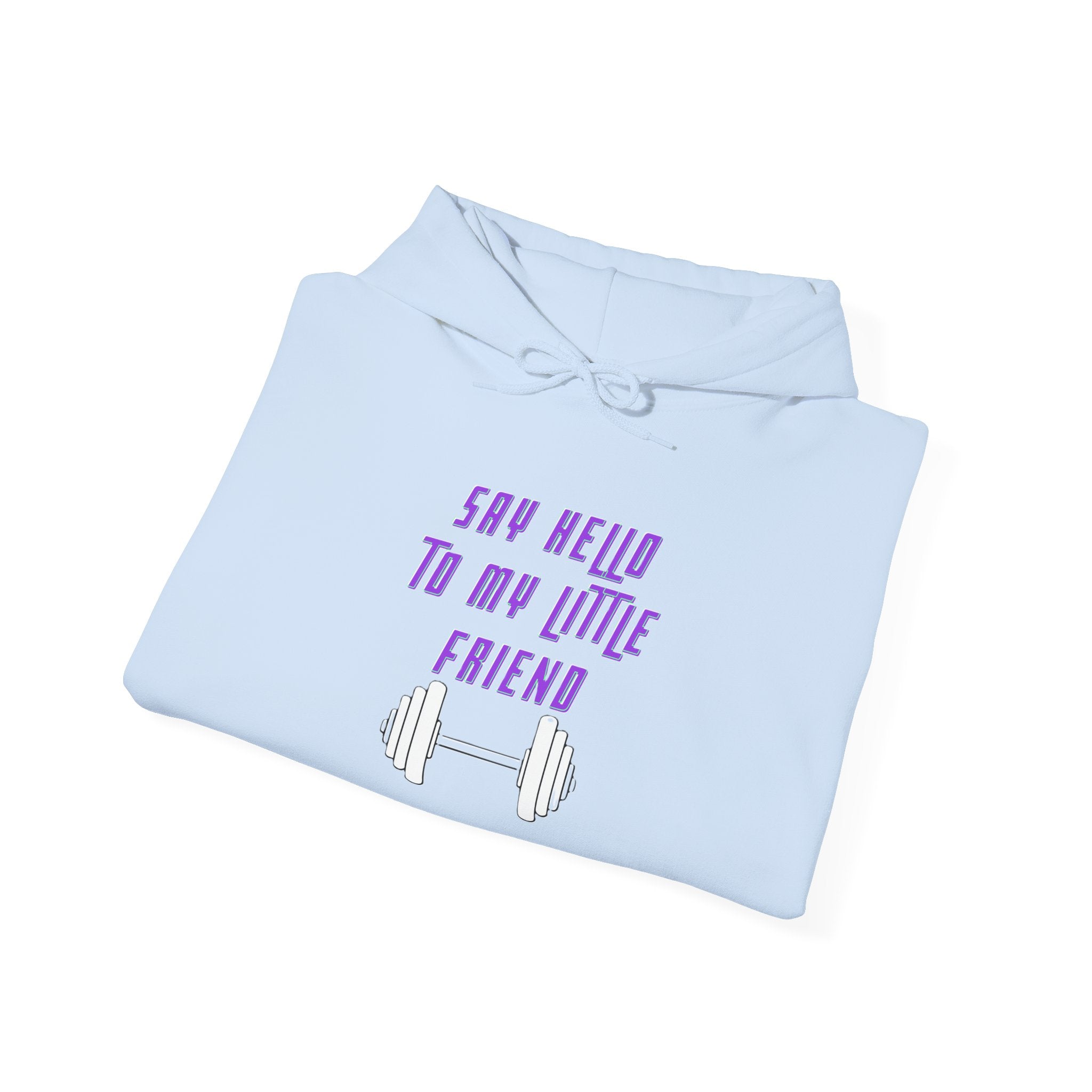 "Say Hello to My Little Friend" Gym Hoodie