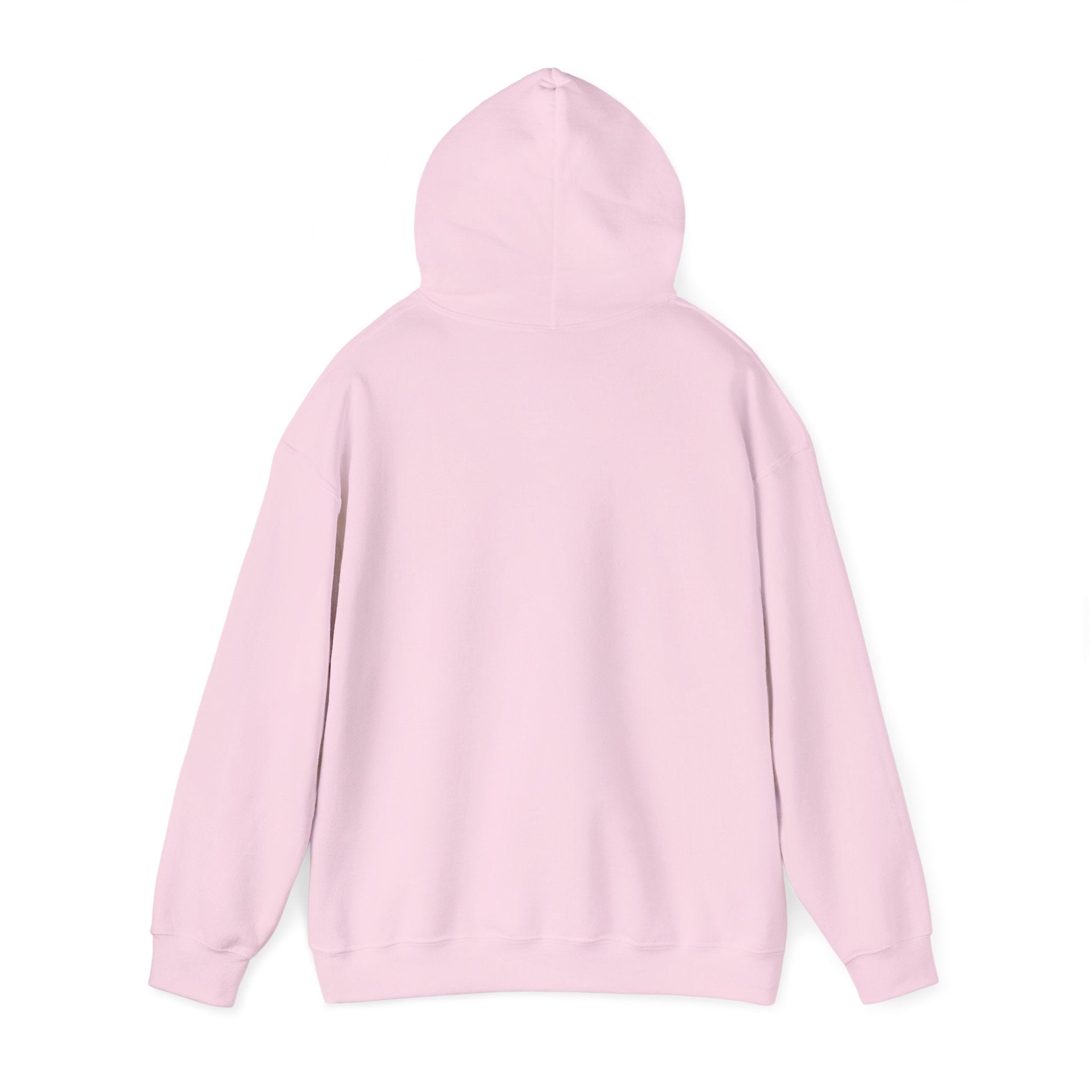 "Say Hello to My Little Friend" Gym Hoodie