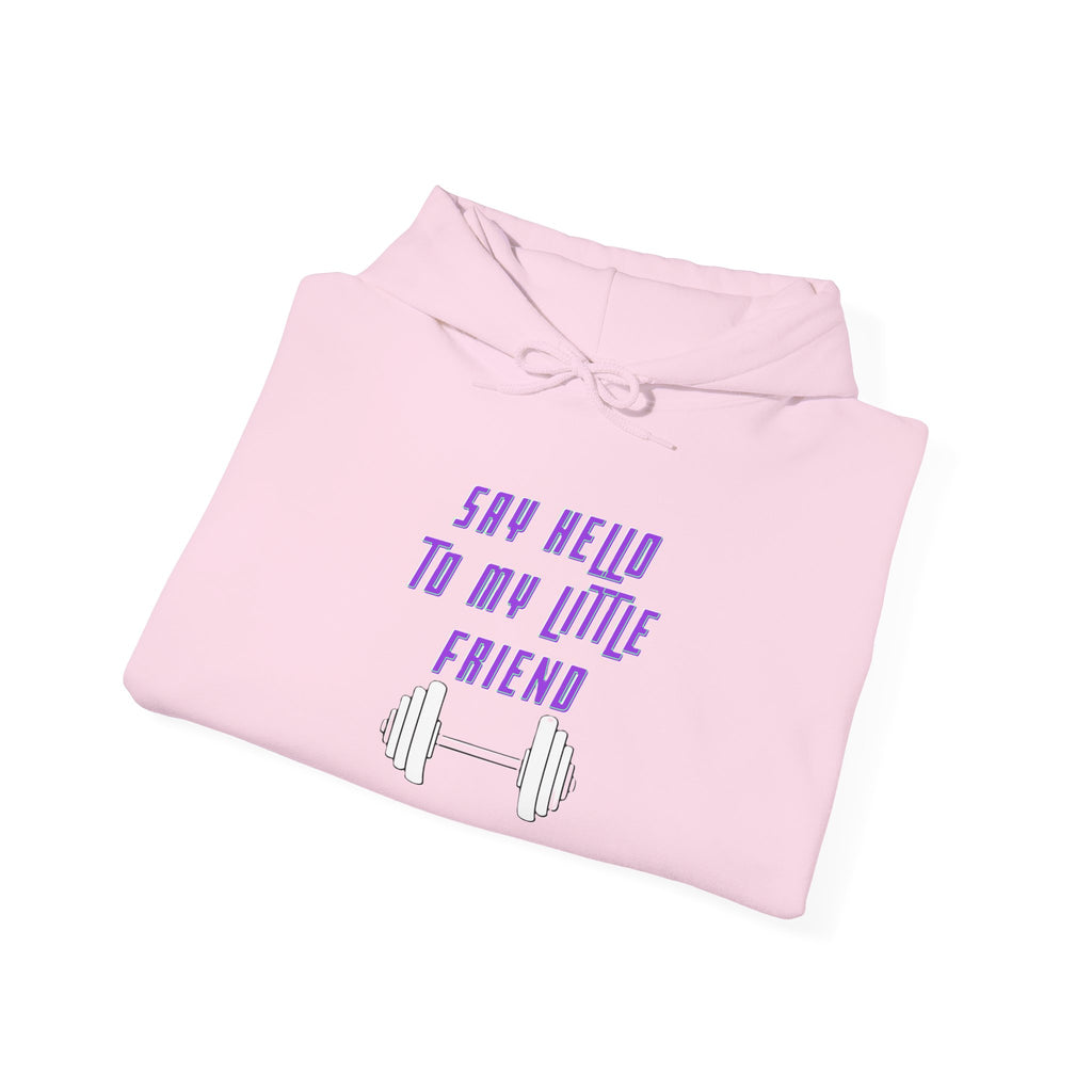 "Say Hello to My Little Friend" Gym Hoodie