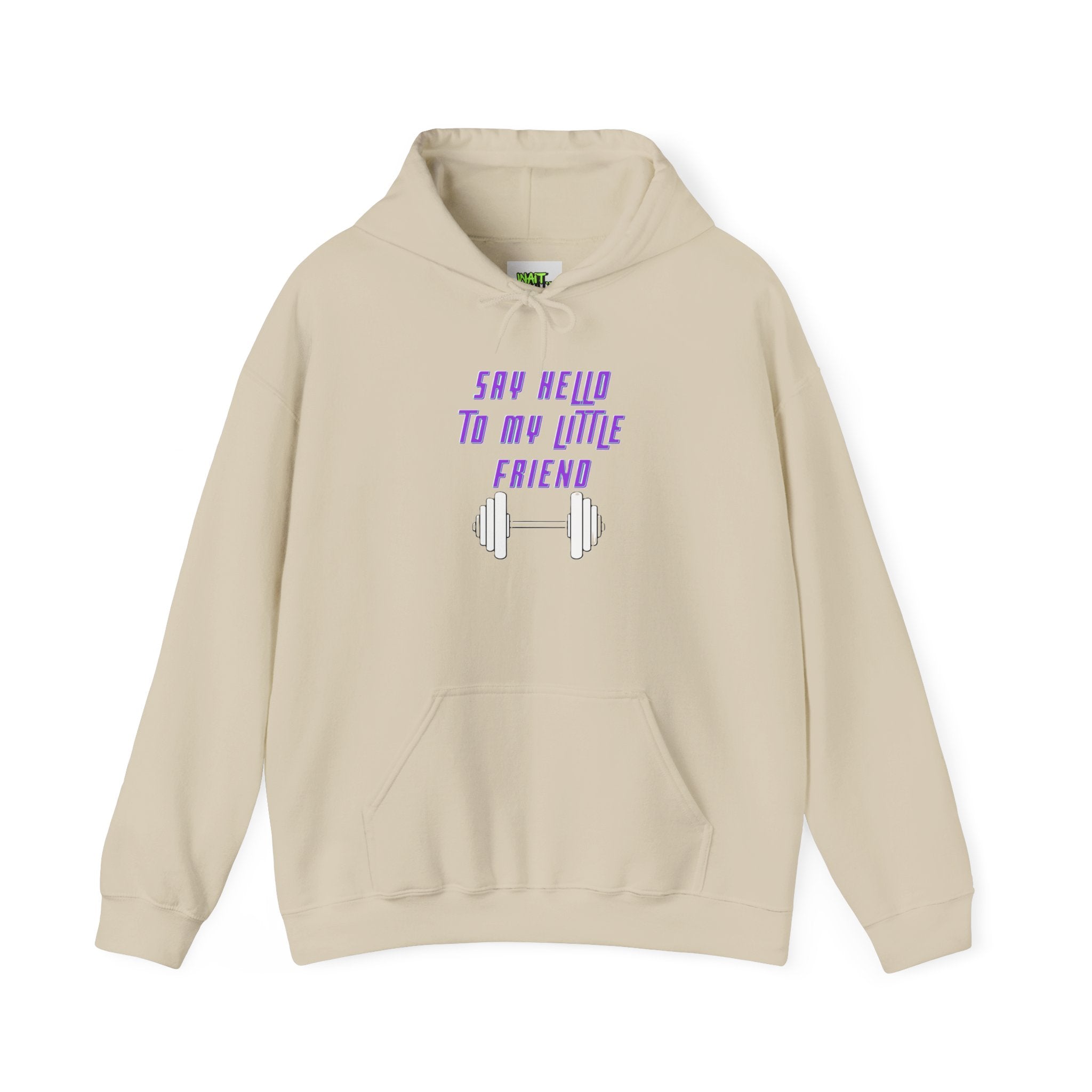"Say Hello to My Little Friend" Gym Hoodie